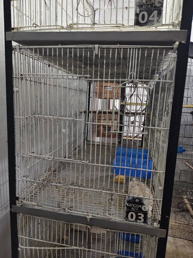 Ringneck Cage 4 Portion 1