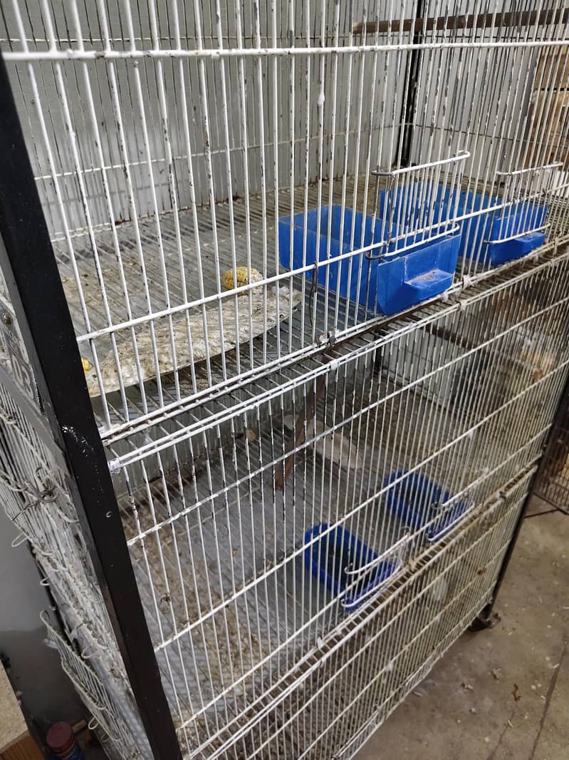 Ringneck Cage 4 Portion 2