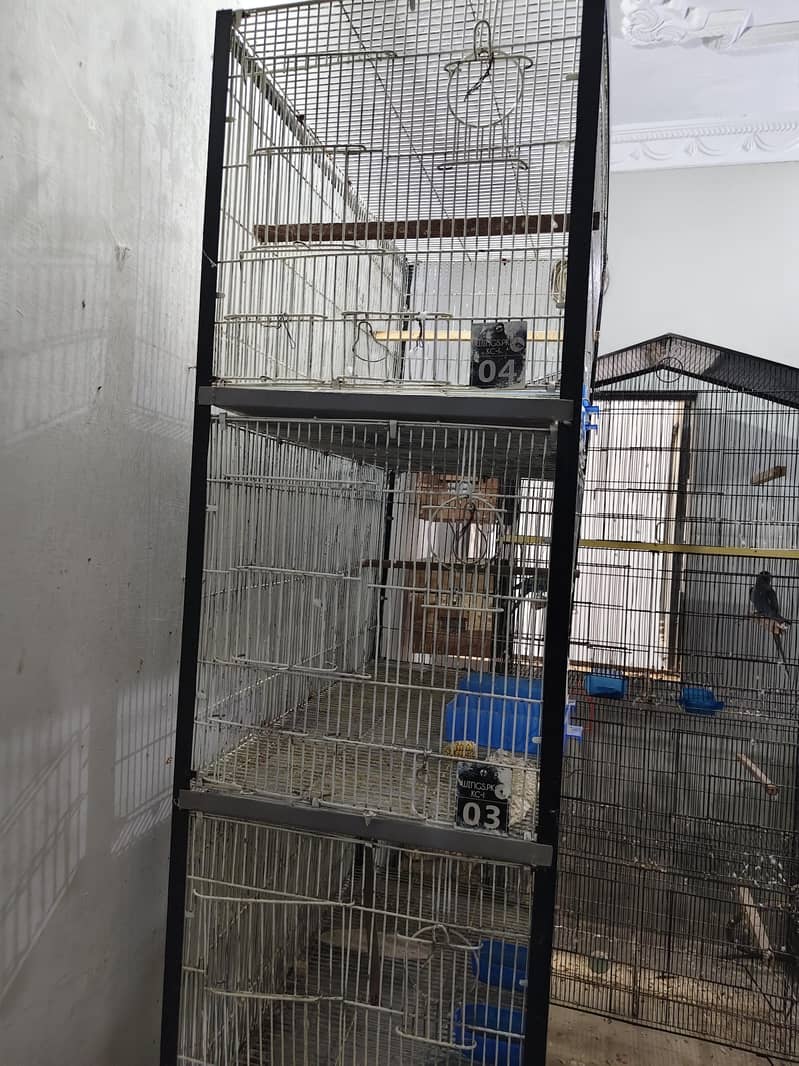 Ringneck Cage 4 Portion 3