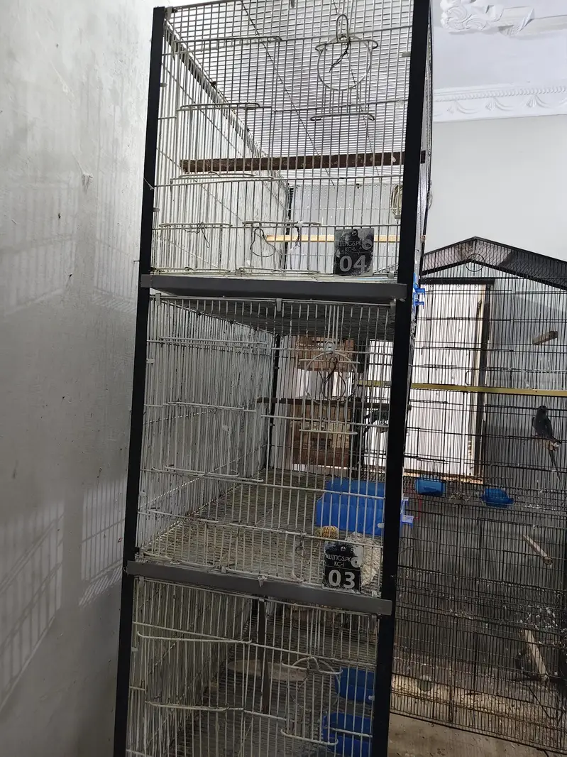 Ringneck Cage 4 Portion — photo 4