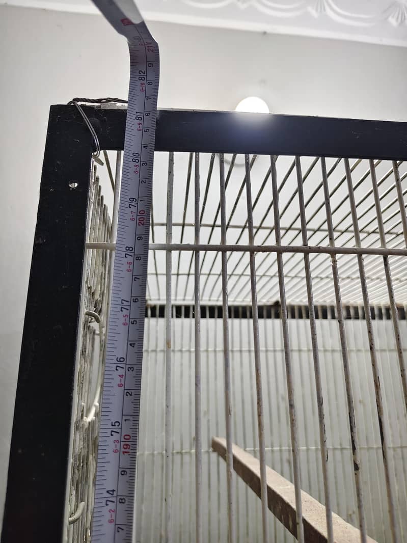 Ringneck Cage 4 Portion 5