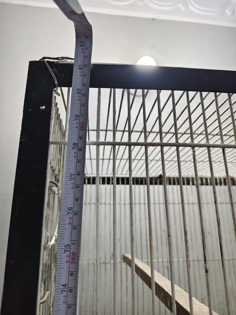 Ringneck Cage 4 Portion — photo 6