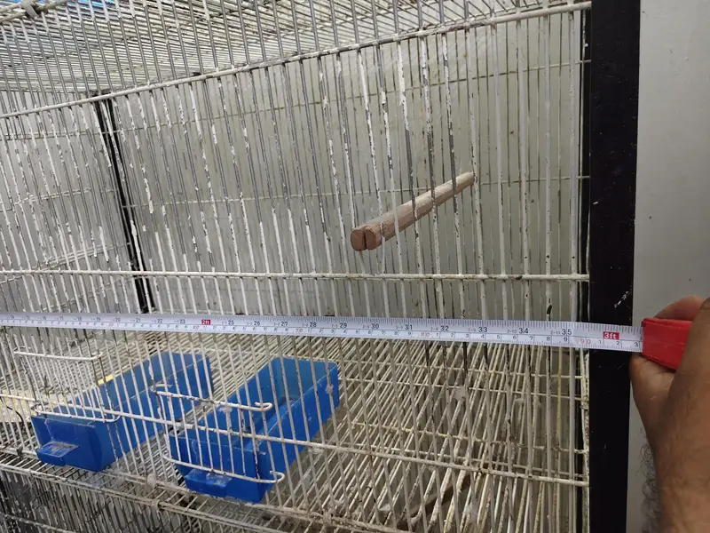 Ringneck Cage 4 Portion — photo 8