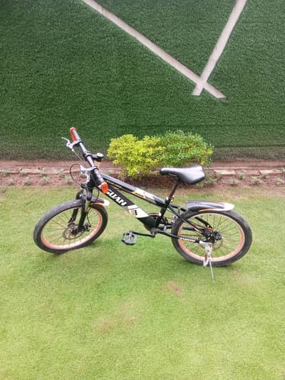 Mountain bicycle for sale