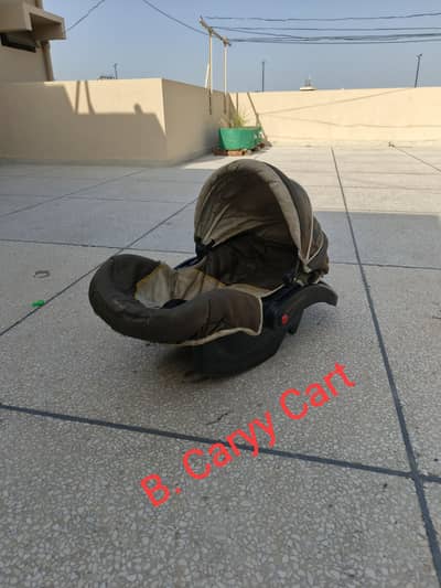 Carry Cart