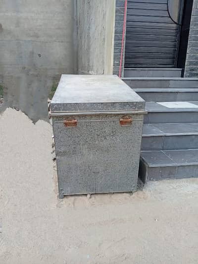 trunk/pati
