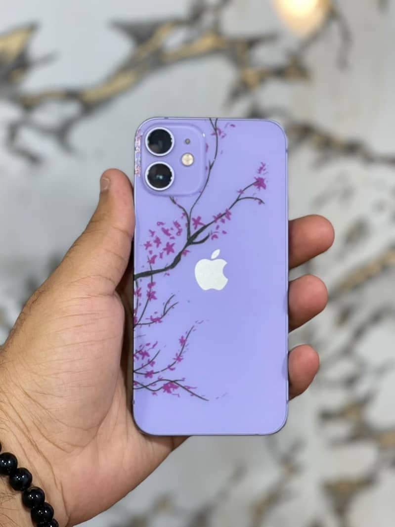 Apple iPhone 12 mini 0