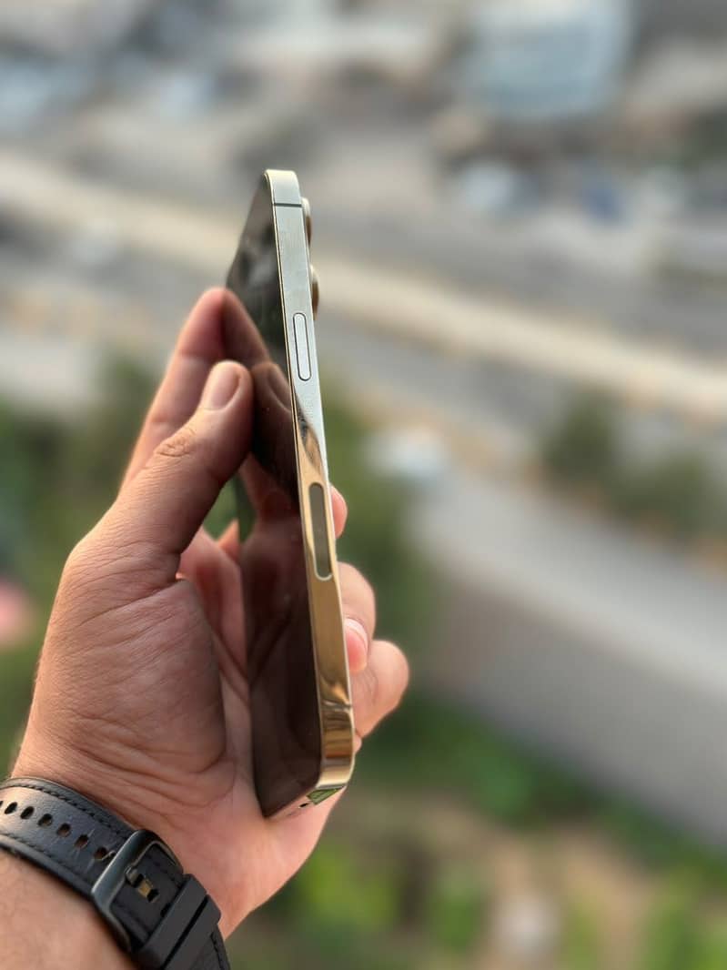 Apple iPhone 14 Pro Max 1
