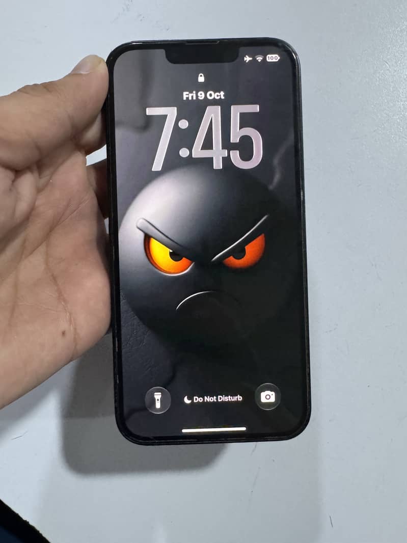 Apple iPhone 13 0