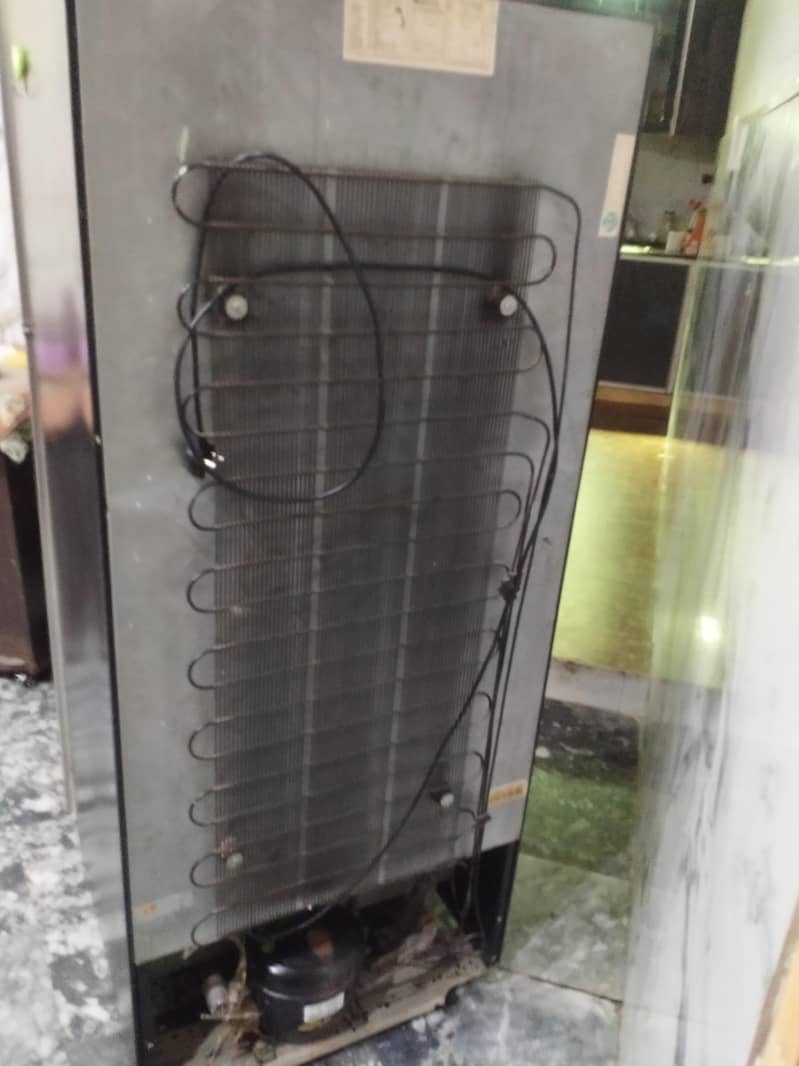 Waves Fridge 5