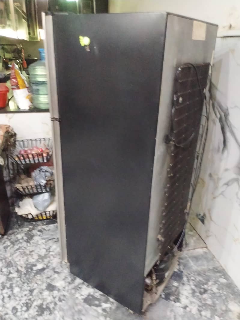 Waves Fridge 6