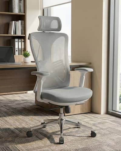 Premium Ergonomic Office Chair with Headrest | Adjustable Mesh Chair