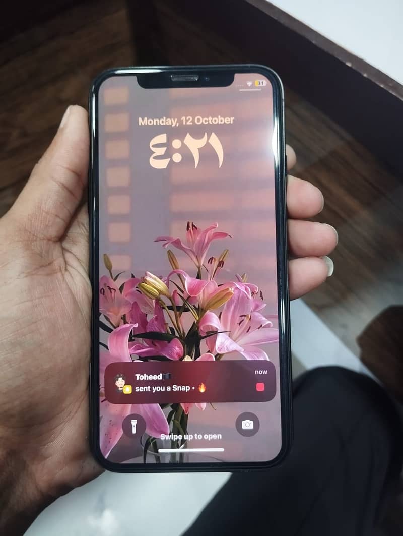 Apple iPhone X 1