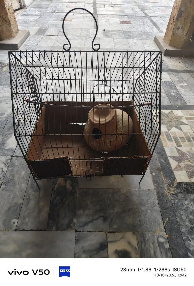 bird cage for sale location khushab — photo 2