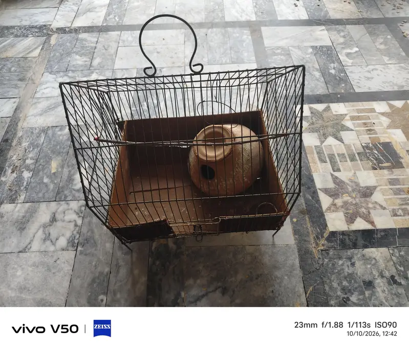 bird cage for sale location khushab — photo 4