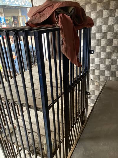 Hen cages. Murgi ka jangla