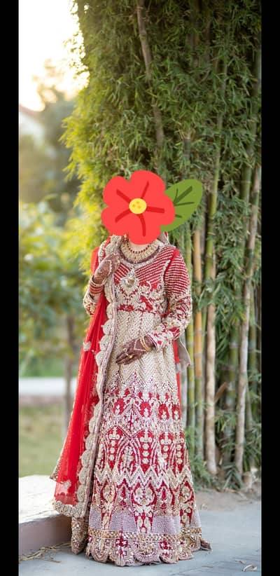 1st day bridal Maxi plus lehnga