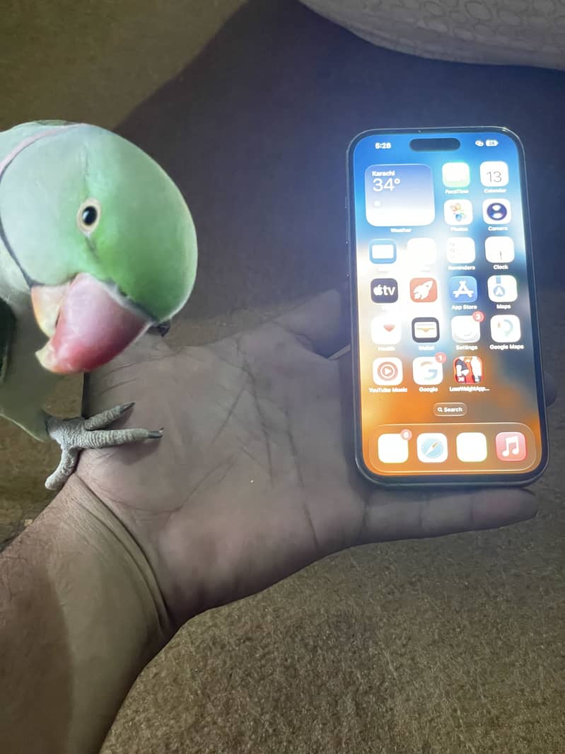 Apple iPhone 14 Pro 2