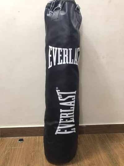 Punching Bag with Boxing GLoves