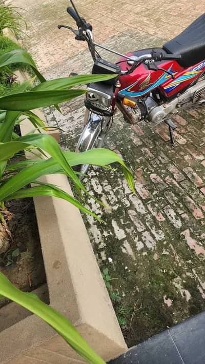Honda CD 70 2019