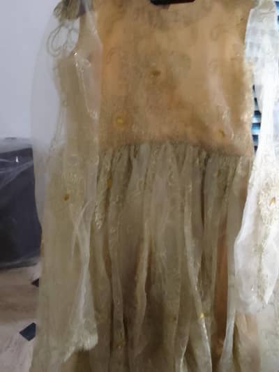 fancy net frock