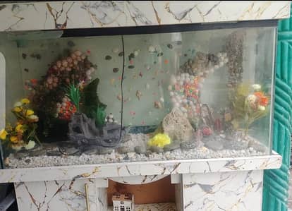 Beautiful Large Fish Aquarium with Marble Design Stand & Accessories*
