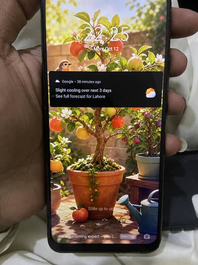 Realme C11