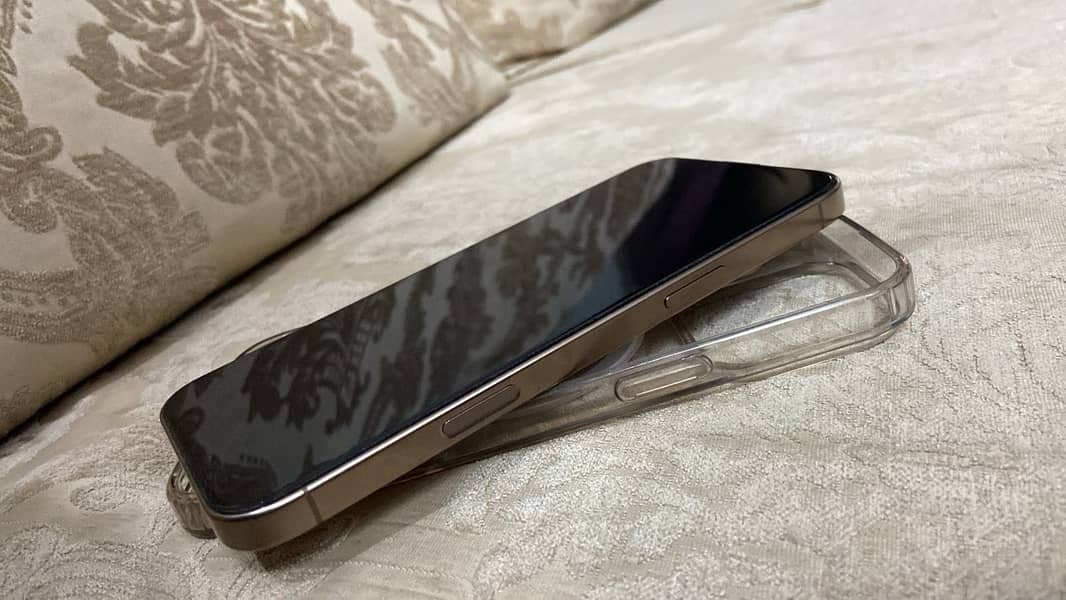 Apple iPhone 16 Pro Max 1