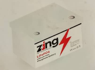 Zing Lithium Iron Phosphate Battery (12V, 100 A)