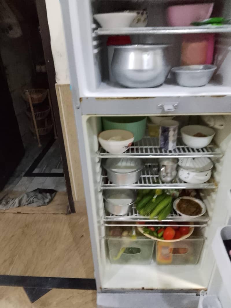 orient refrigerators 5
