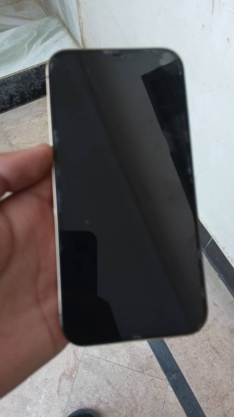 Apple iPhone 12 Pro Max 1