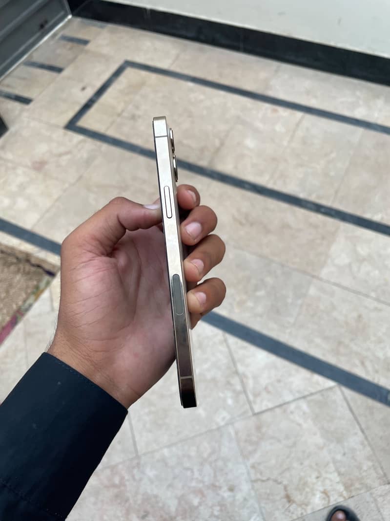 Apple iPhone 12 Pro Max 5
