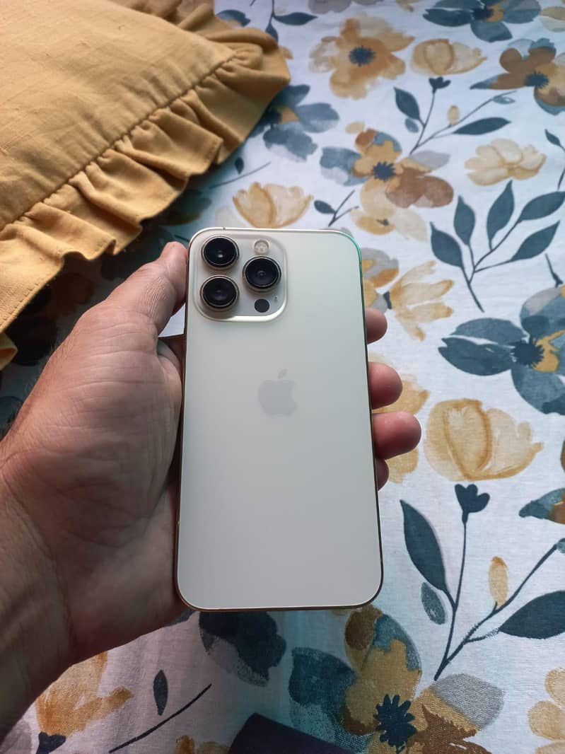 Apple iPhone 13 Pro 0