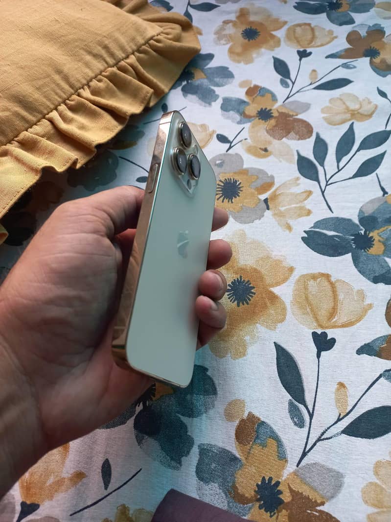Apple iPhone 13 Pro 1