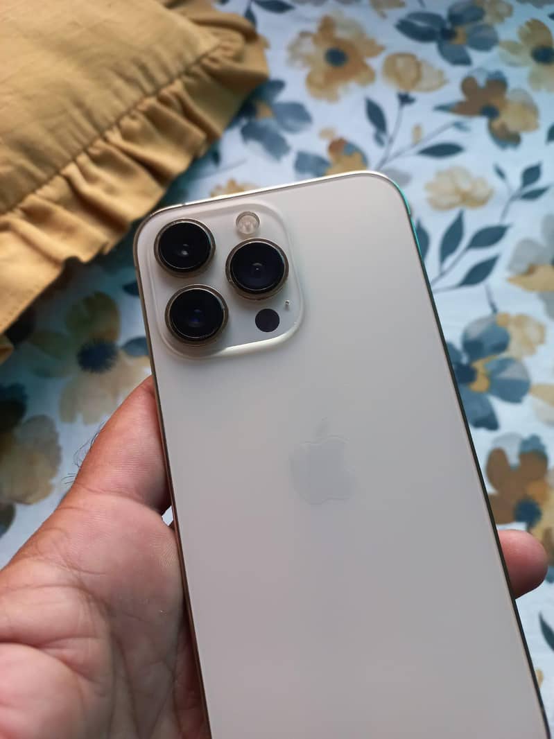Apple iPhone 13 Pro 2