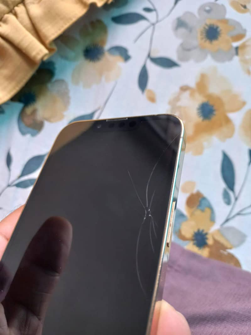 Apple iPhone 13 Pro 9