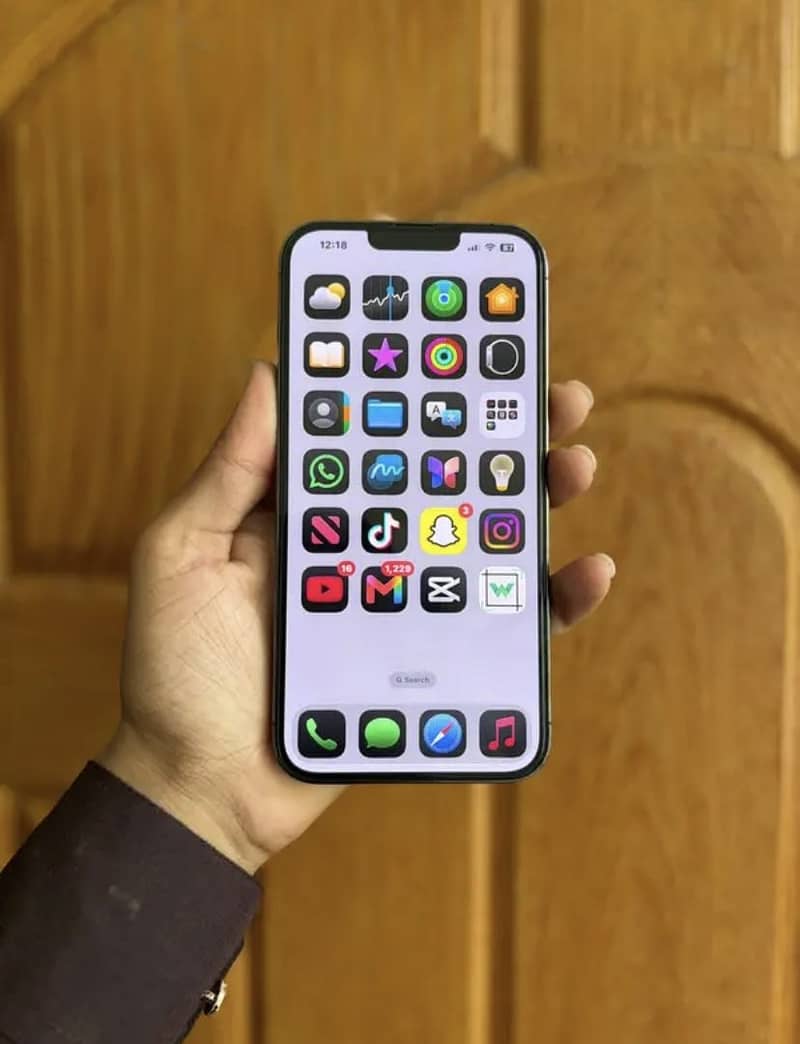 Apple iPhone 13 Pro Max 2