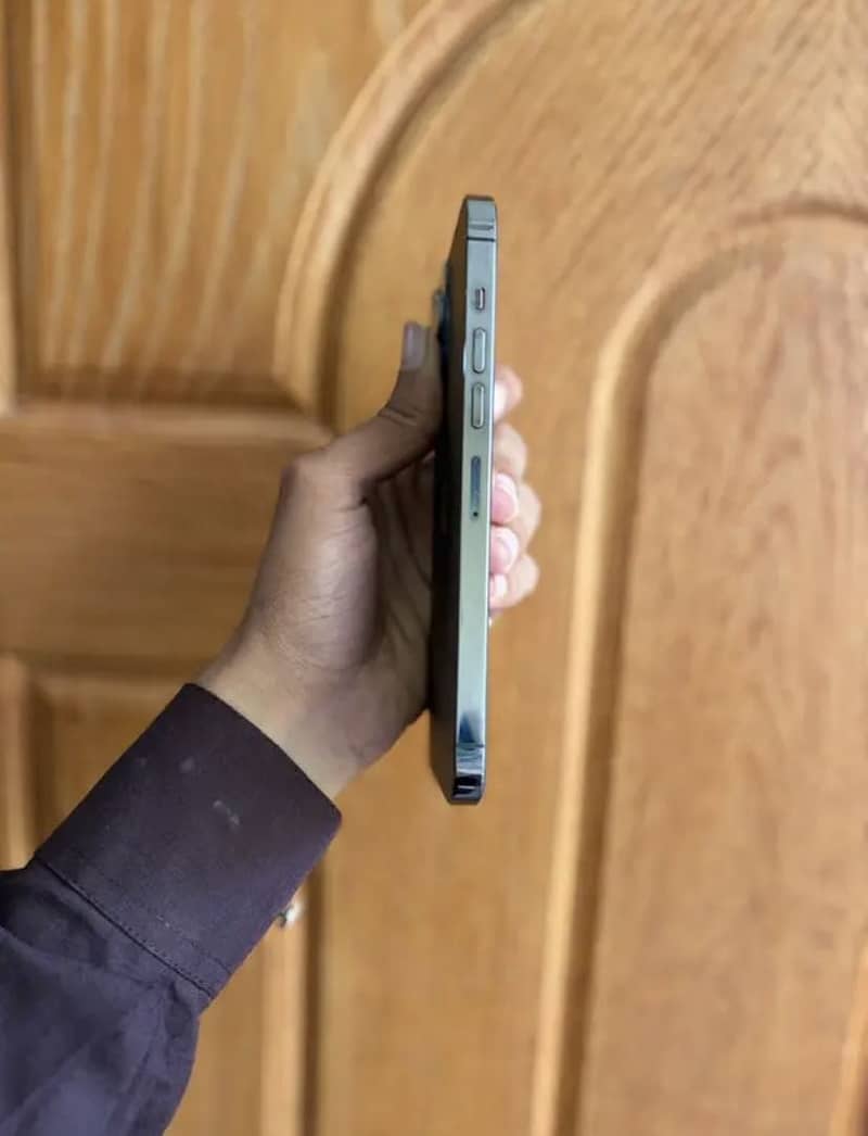 Apple iPhone 13 Pro Max 3