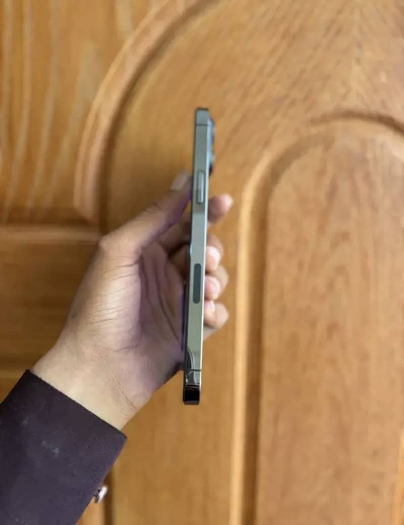 Apple iPhone 13 Pro Max 4