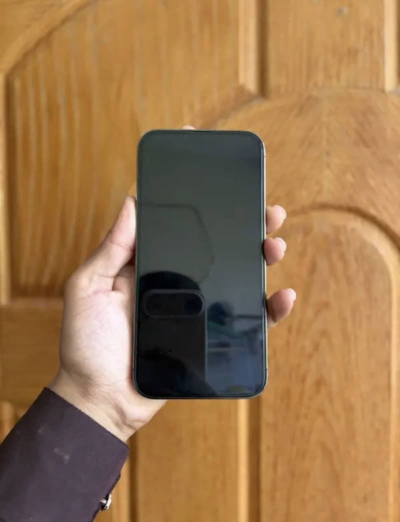 Apple iPhone 13 Pro Max 6