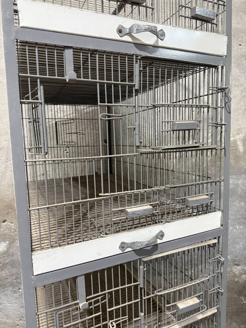 Cages 5