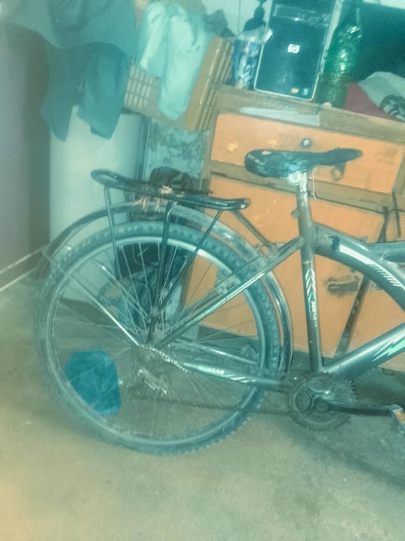 morgan cycle 0