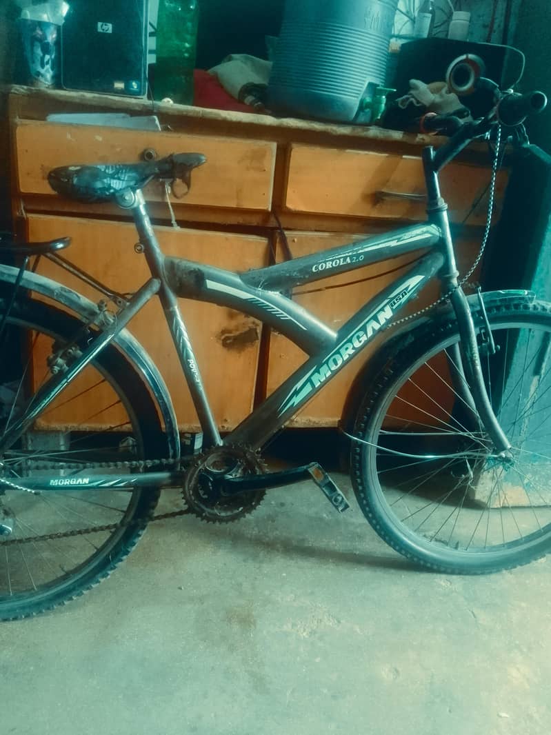 morgan cycle 1