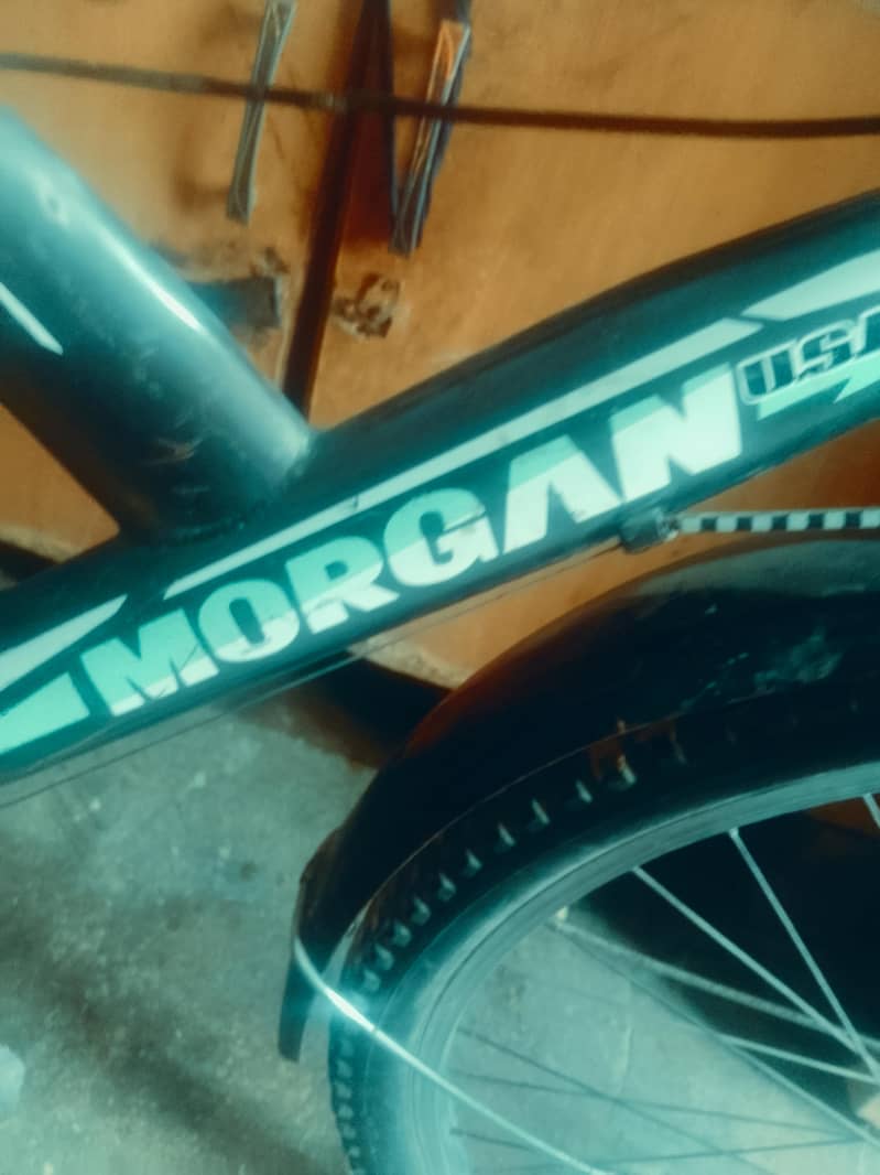 morgan cycle 2