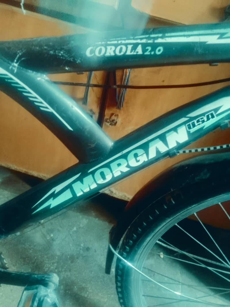 morgan cycle 4