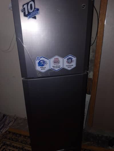 pel refrigerator 2 dorr condition 10 by 10 only 3 years use