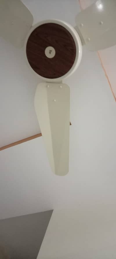 brand new fan