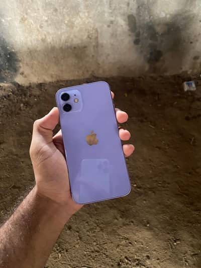 Apple iPhone 12