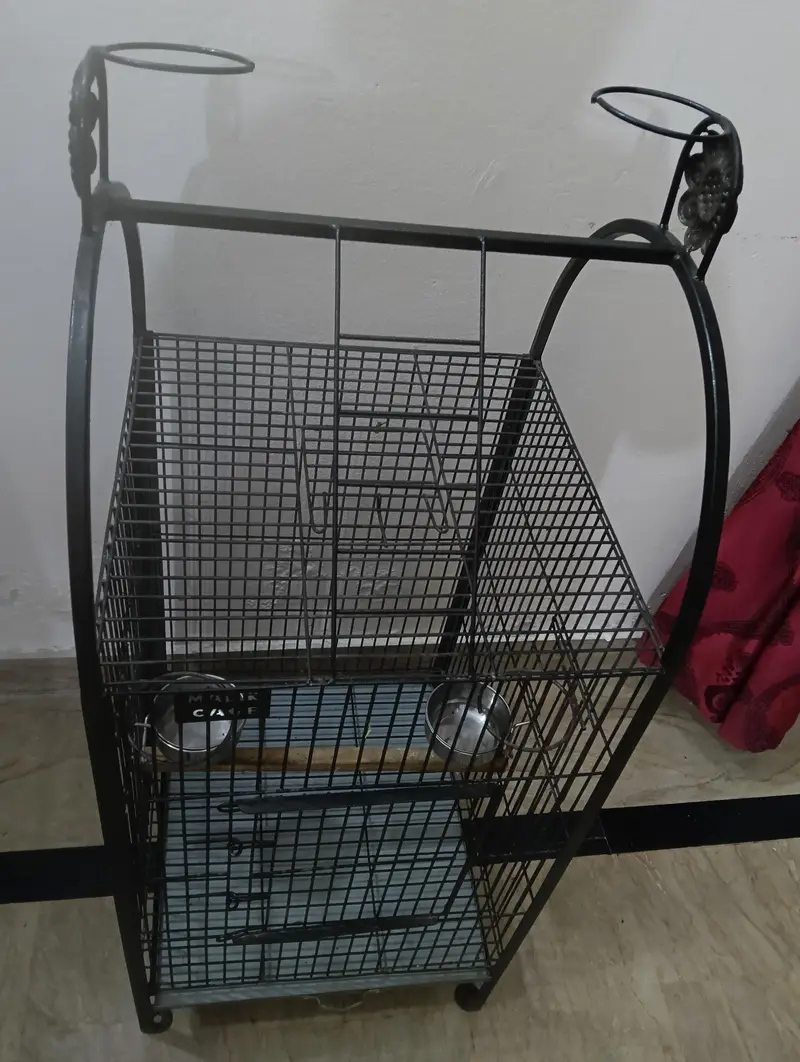 Malik cage for parrots and other birds — photo 3