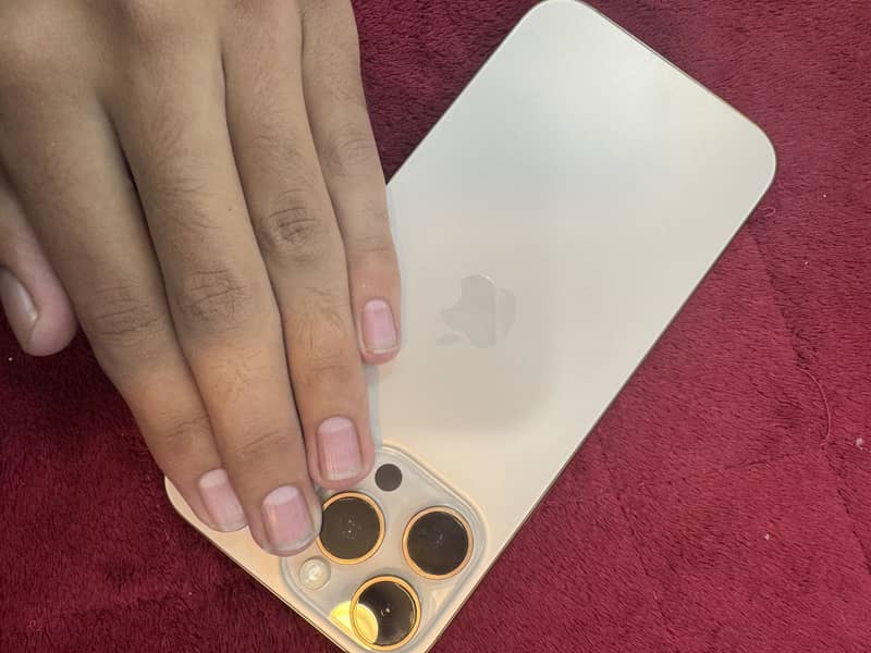 Apple iPhone 16 Pro Max 4